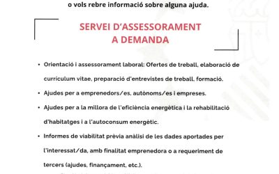SERVEI D’ASSESSORAMENT A DEMANDA