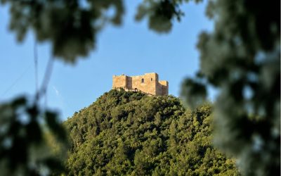 Fireta de Forna. Fira gastronòmica i artesanal